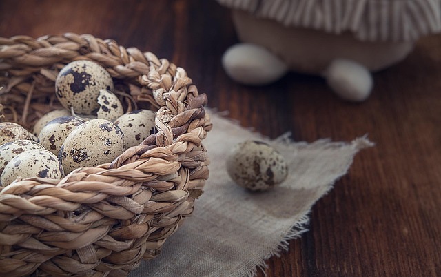 Drobne, nakrapiane jaja przepiórcze w zbliżeniu jako świeży produkt eko
